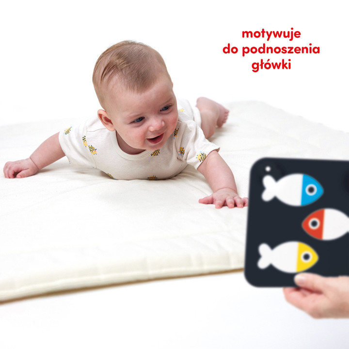 CzuCzu Duże Karty Kontrastowe 0m+ | Planeta Kreatywności