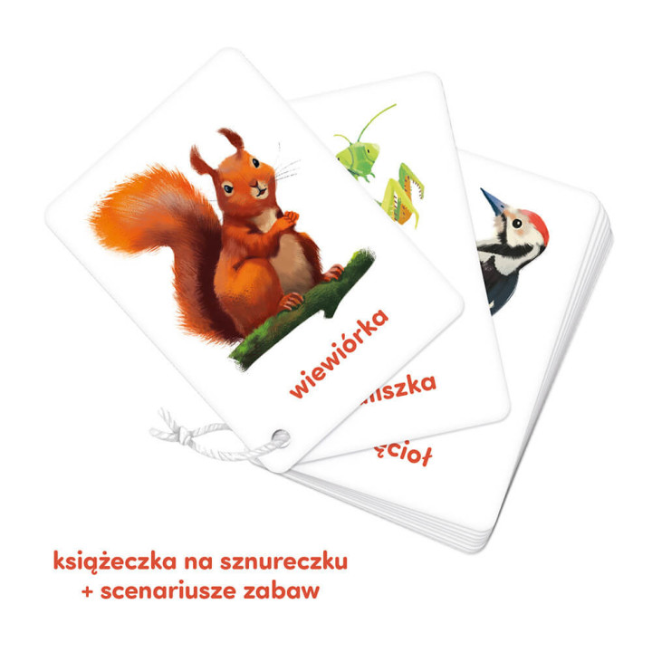 CzuCzu Karty na sznureczku Zwierzęta 12m+ | Edukacyjne Karty